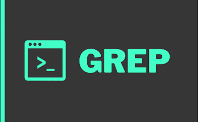 How To Use OR Operator In Grep