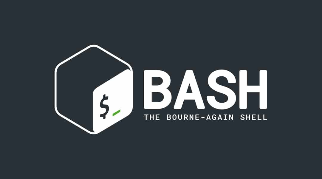 Run Script From Script Bash With Examples